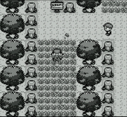 A screenshot of the Pokemon overworld